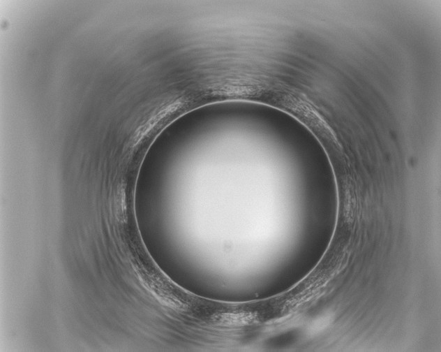 X0000059060251200510101056