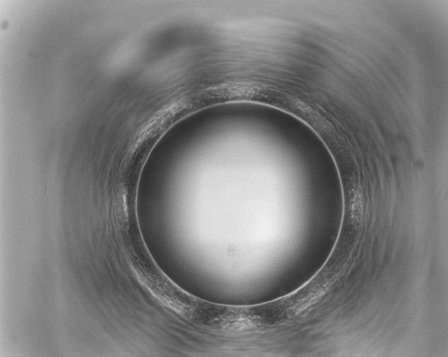 X0000059060254200510101056