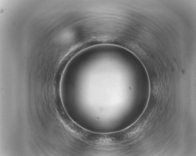 X0000059060256200510101056