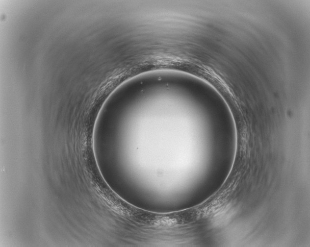 X0000059060257200510101056