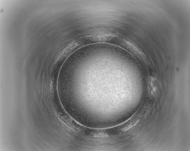 X0000059060258200510101056