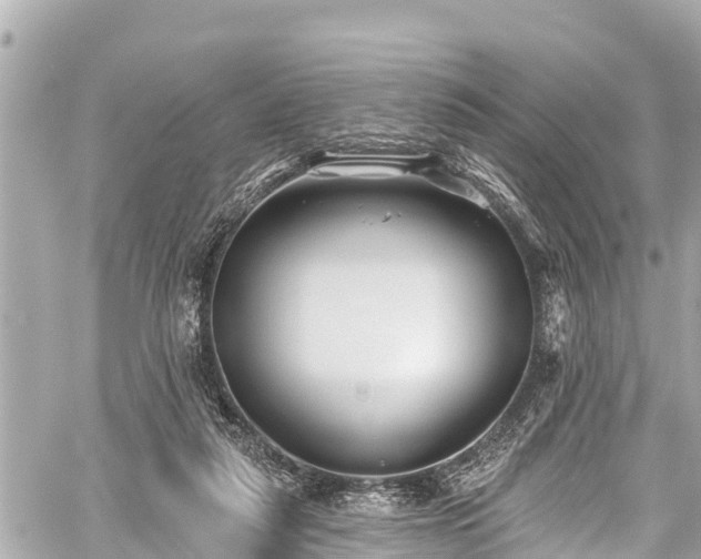 X0000059060259200510101056