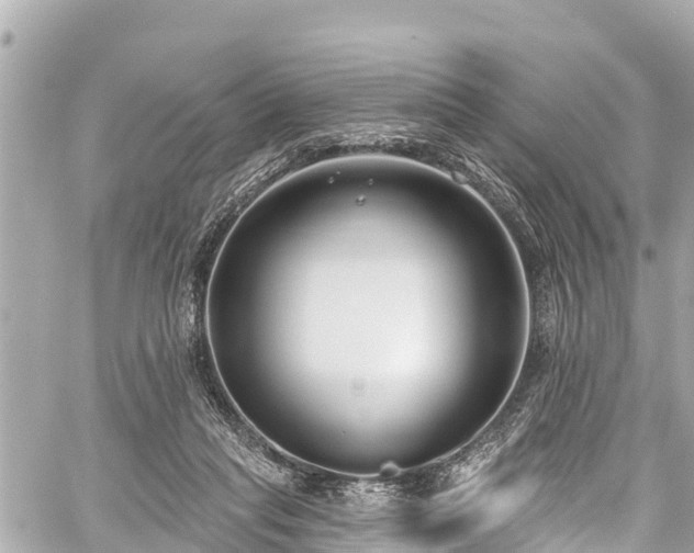 X0000059060261200510101056