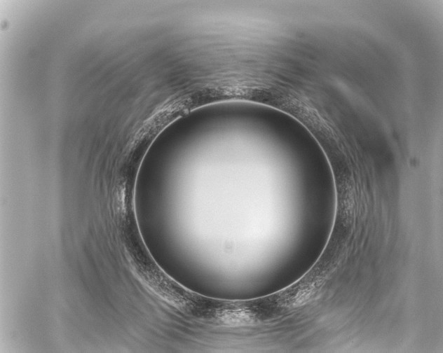 X0000059060262200510101056