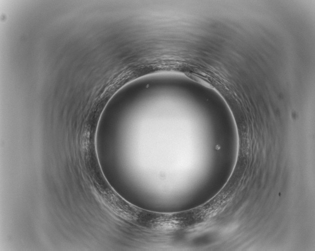 X0000059060263200510101056