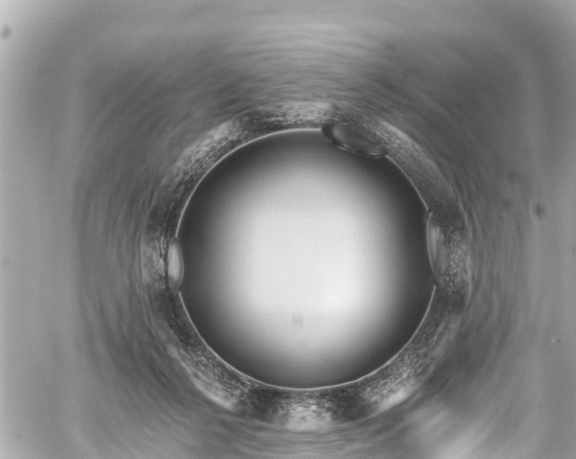 X0000059060264200510101056