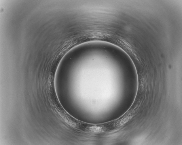 X0000059060265200510101056