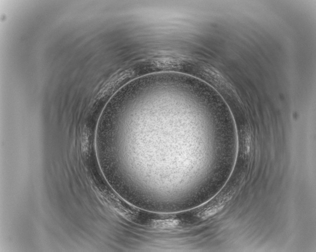 X0000059060266200510101056