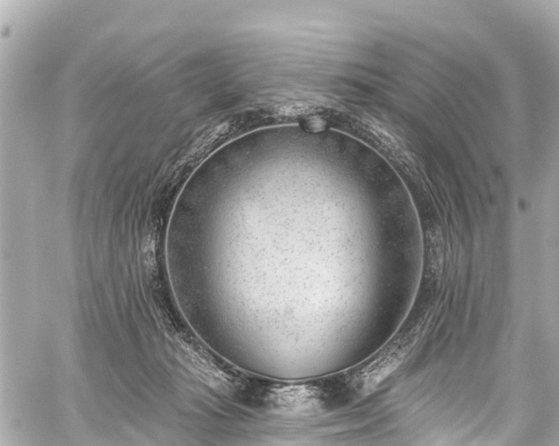 X0000059060269200510101056