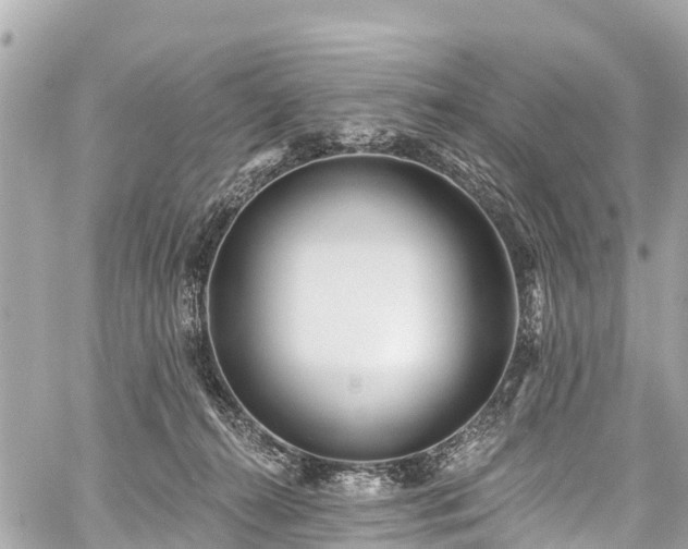 X0000059060272200510101056