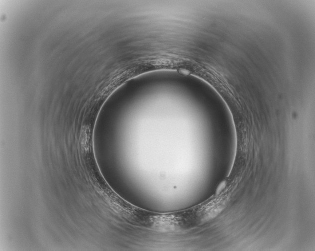 X0000059060273200510101056