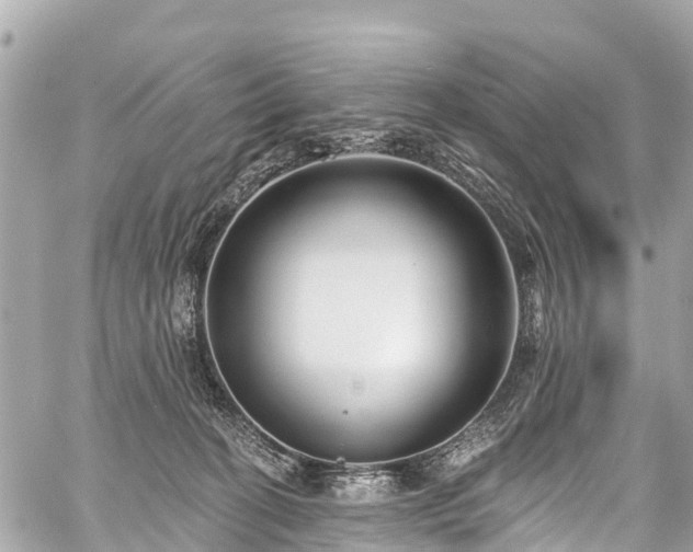 X0000059060274200510101056