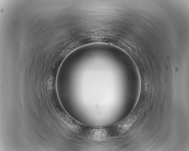 X0000059060275200510101056