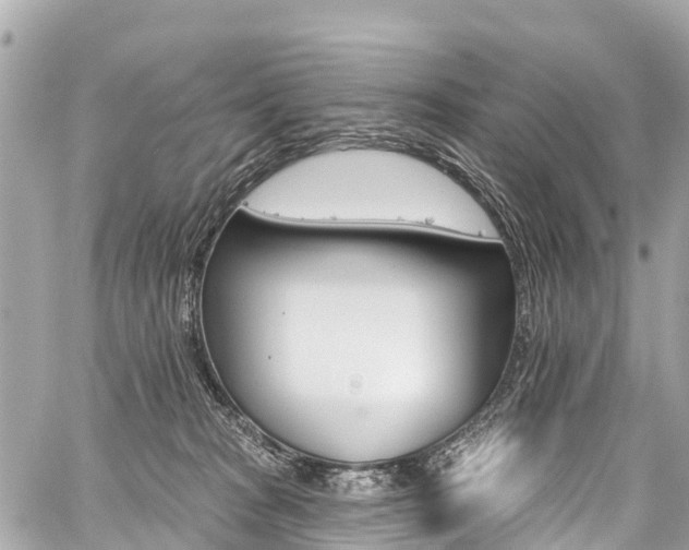 X0000059060277200510101056