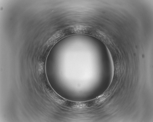 X0000059060278200510101056