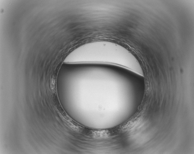 X0000059060281200510101056