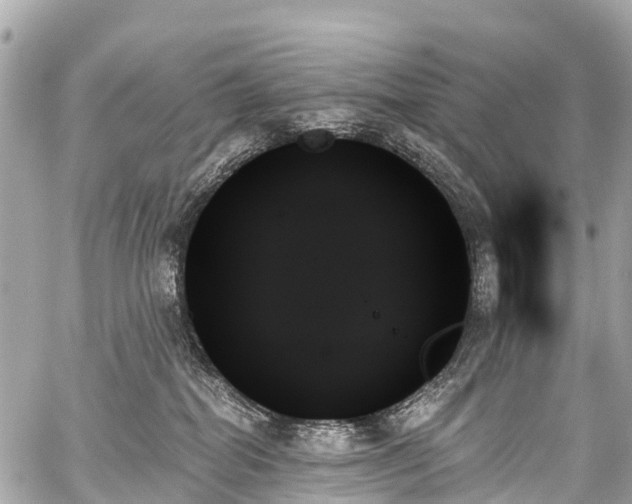 X0000059060282200510101056