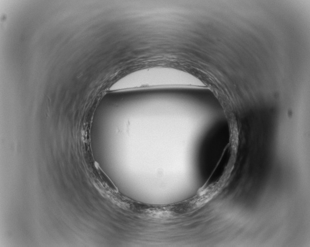 X0000059060284200510101056