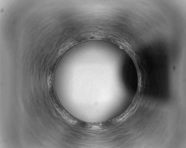 X0000059060285200510101056