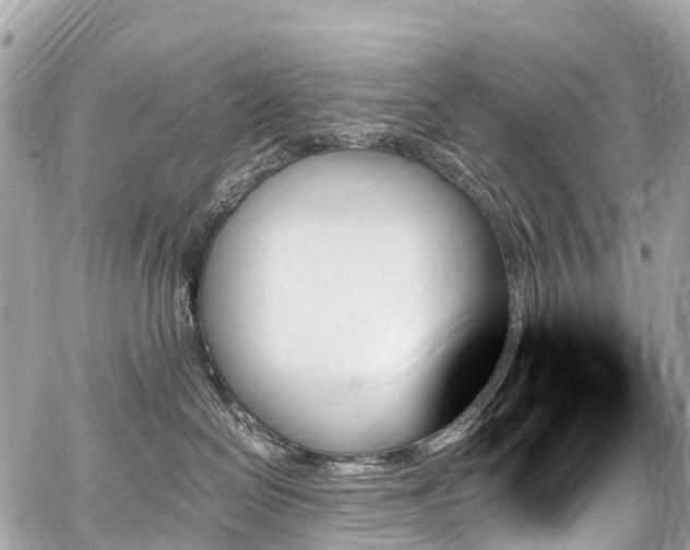 X0000059060286200510101057