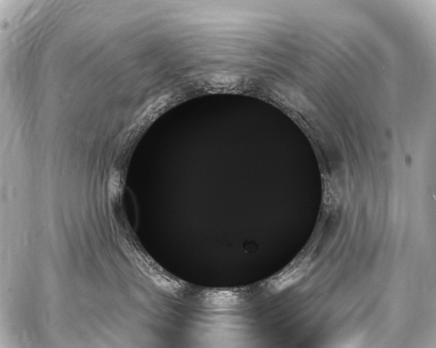 X0000059060287200510101057