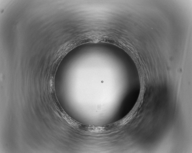 X0000059060288200510101057