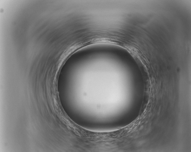 X0000059060289200510101056