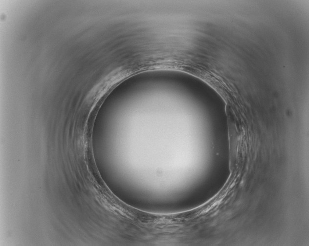 X0000059060290200510101056