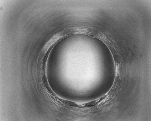 X0000059060291200510101056