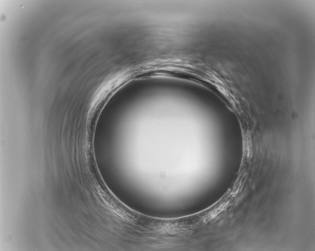 X0000059060293200510101056