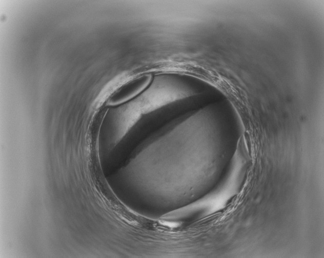 X0000059060295200510101056