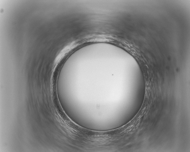 X0000059060296200510101056