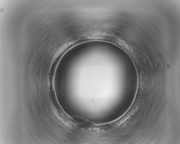 X0000059060298200510101056