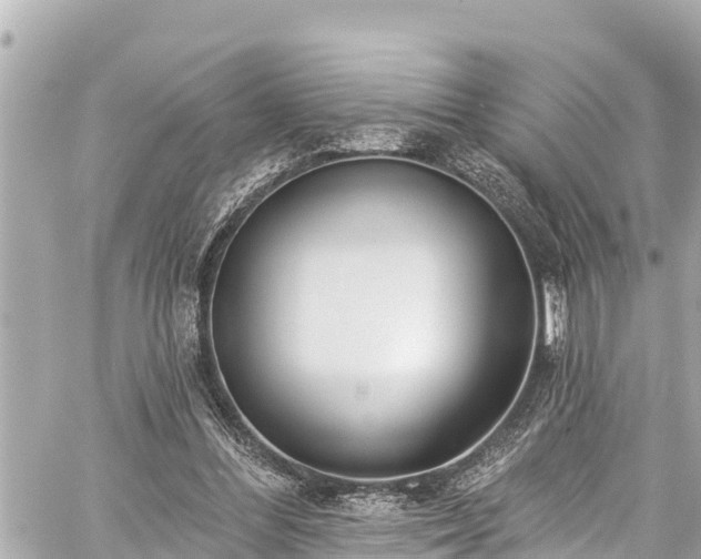 X0000059060300200510101056