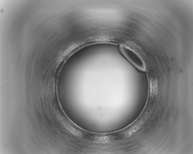 X0000059060301200510101056