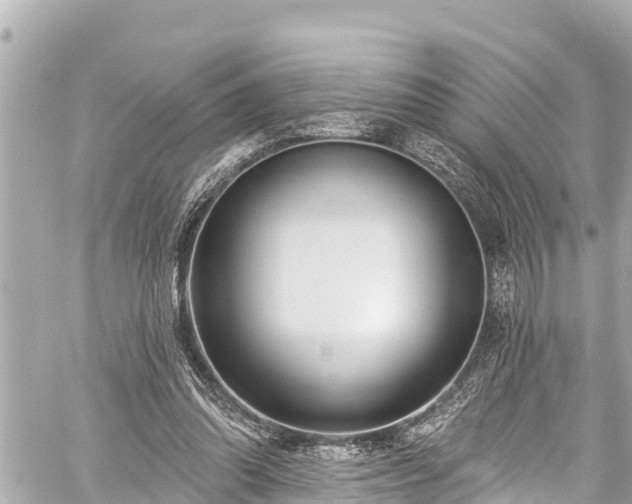 X0000059060302200510101056