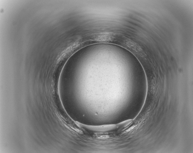 X0000059060303200510101056