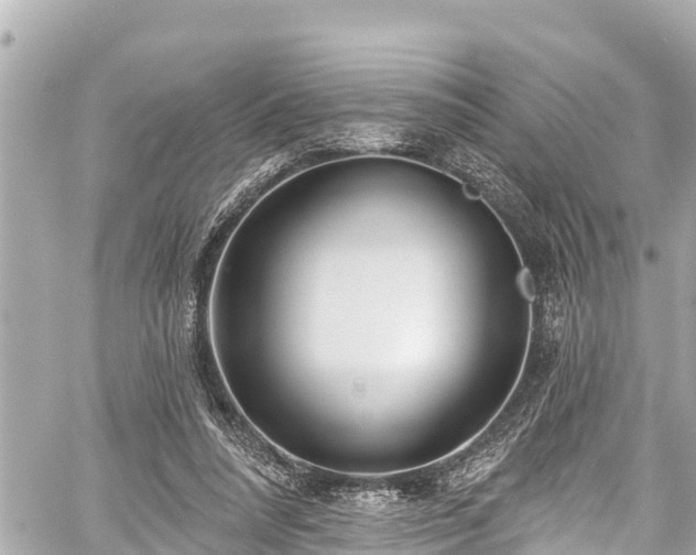 X0000059060304200510101055