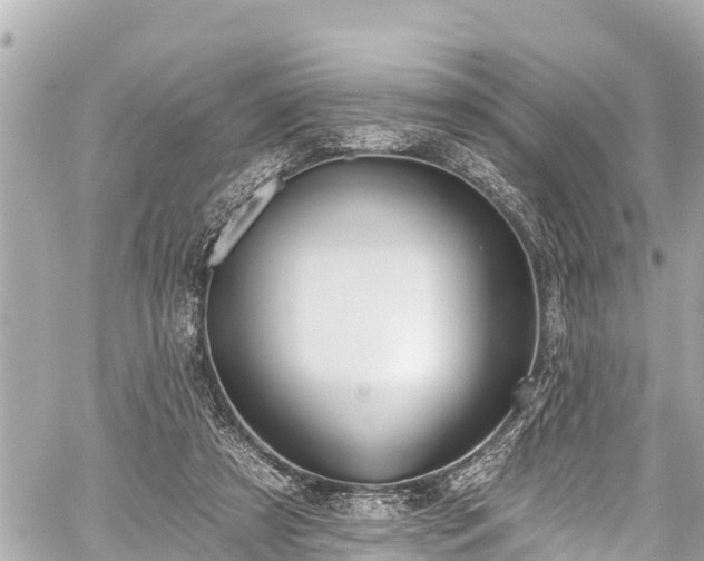 X0000059060305200510101055