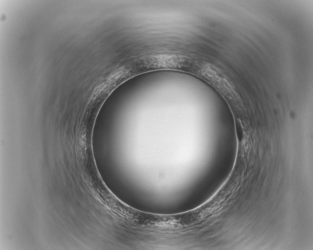 X0000059060306200510101055