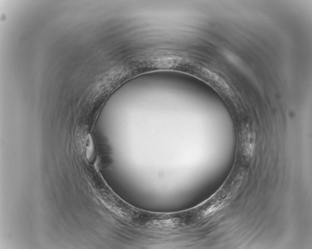 X0000059060307200510101055