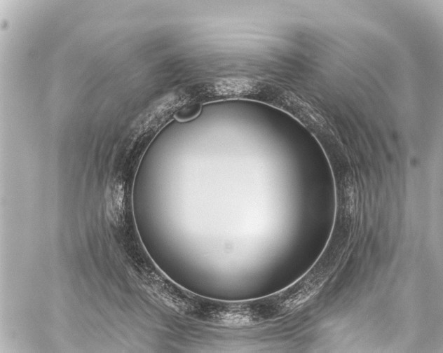 X0000059060308200510101055