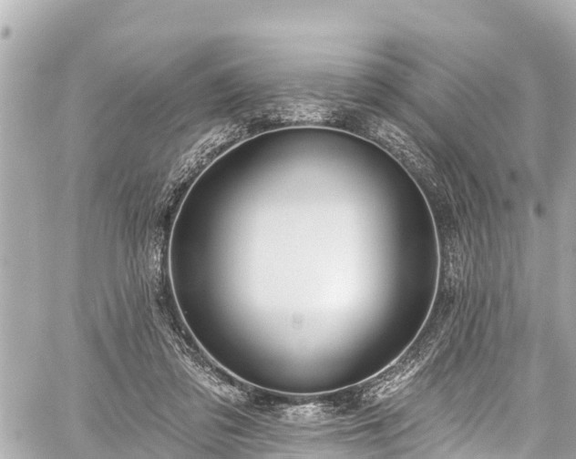 X0000059060309200510101055