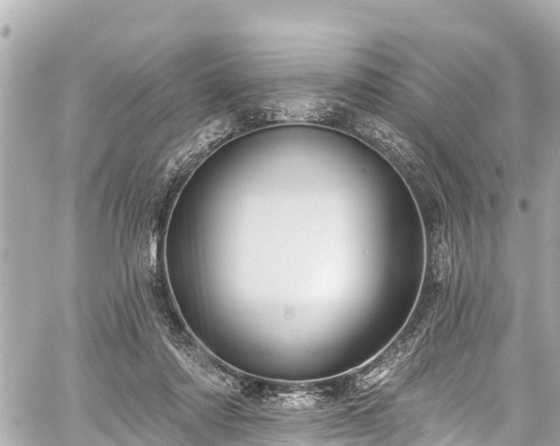 X0000059060310200510101055