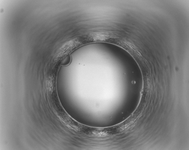 X0000059060311200510101055