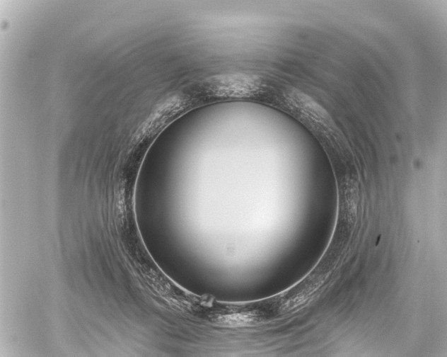 X0000059060312200510101055