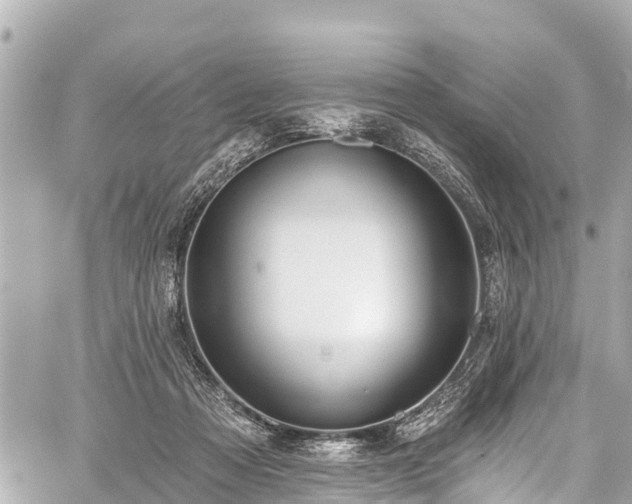 X0000059060313200510101055