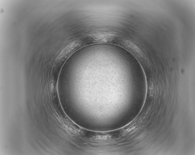 X0000059060314200510101055