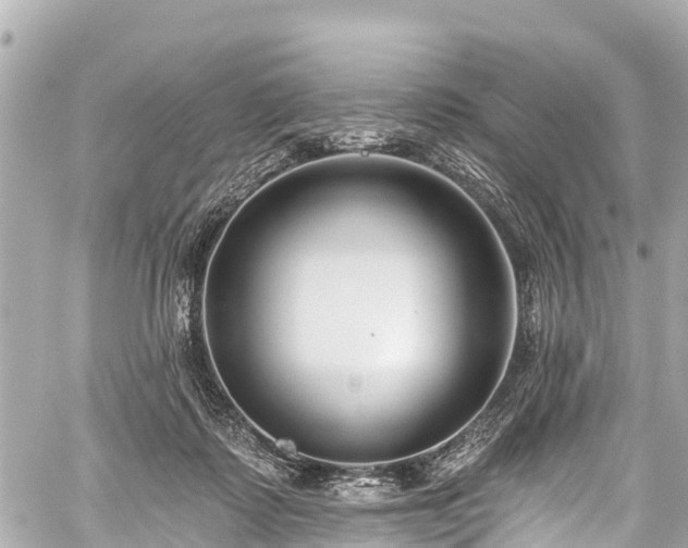 X0000059060315200510101055