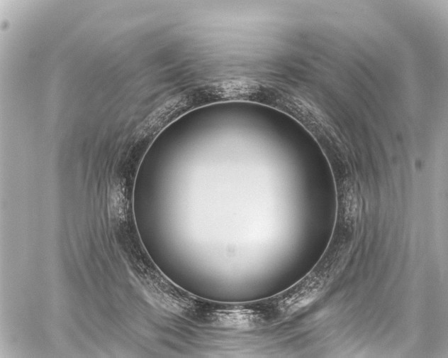 X0000059060316200510101055